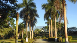 Farm CASA TURIRE, nahe Turrialba - https://hotelcasaturire.com