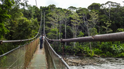 262 m lange Hängebrücke (im Mistico Park) im Gebiet des Volcan Arenal National Park